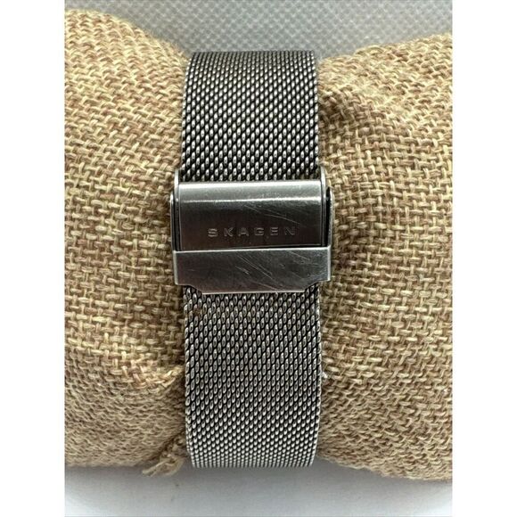 Skagen 956XLTTW Women\'s Silver Stainless Steel Mesh Analog Quartz Watch AEA141
